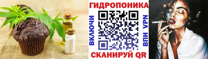 где купить наркоту  Волгоград  дарк нет формула  Canna-Cookies марихуана 