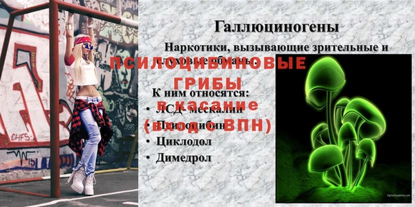 крисы Армянск