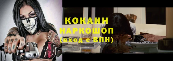 крисы Армянск