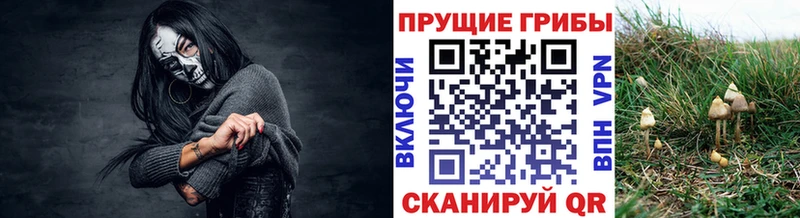 Галлюциногенные грибы прущие грибы Волгоград